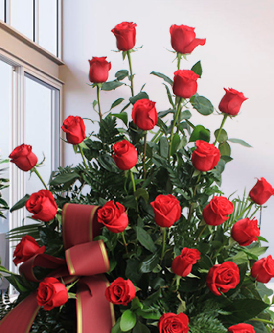 Centro funerario de 30 Rosas