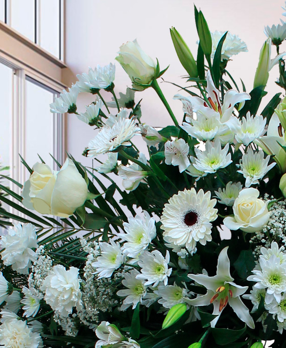 Flores blancas para difuntos en Santander