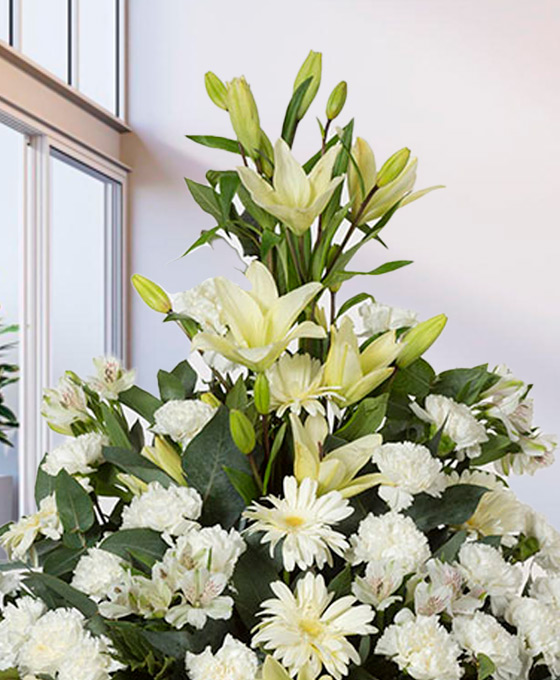 Flores blancas para fallecidos en Santander