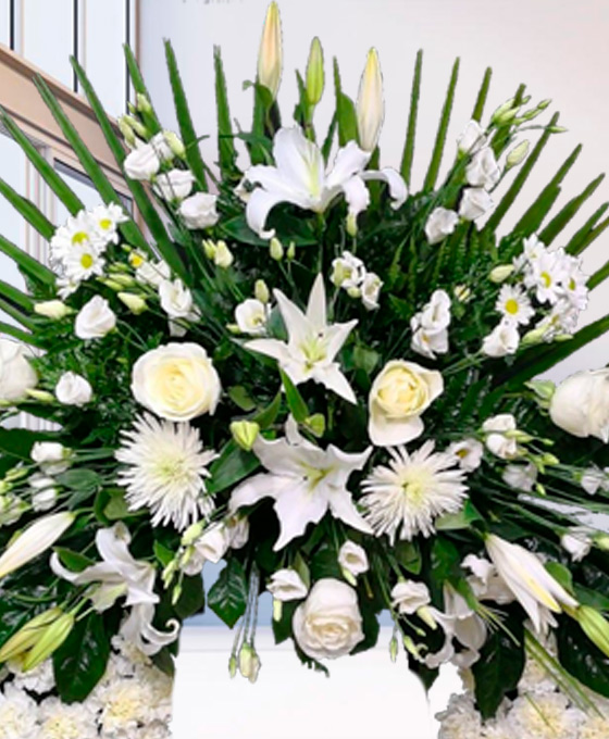 Corona Funeraria Santander
