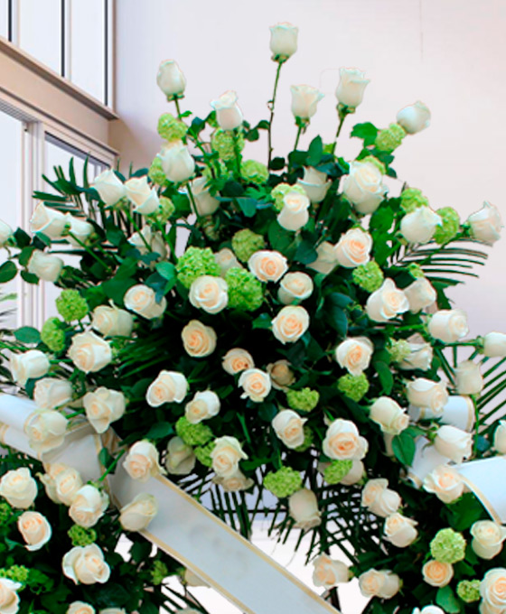Flores blancas para difuntos de Santander