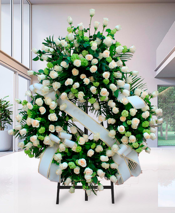 Rosas blancas para funerales de Santander
