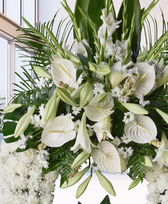 Flores blancas para difuntos de Santander