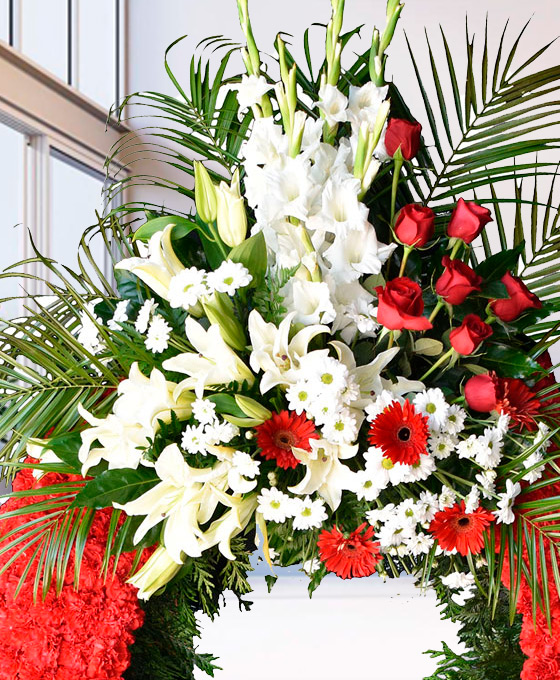 Flores rojas para difuntos de Santander