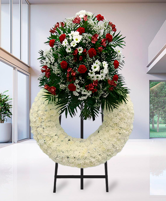 Flores blancas para difuntos de Santander