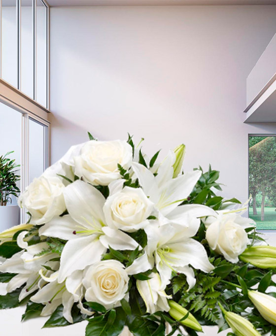 Enviar centros funerarios a Santander